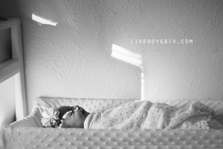 wilson_family_liveroygbiv_photography_springboro_dayton_creative_portraits_katie_swift