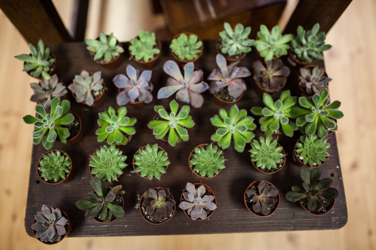 heart_mercantile_local_businesses_dayton_ohio_photographers_oregon_district_daytoncentric_storytelling_women_boutique_liveroygbiv_katie_swift-30