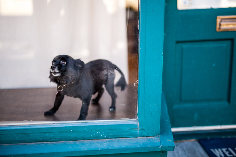 heart_mercantile_local_businesses_dayton_ohio_photographers_oregon_district_daytoncentric_storytelling_women_boutique_liveroygbiv_katie_swift-40