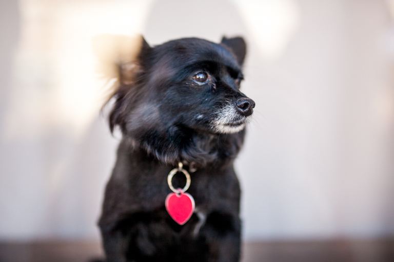 heart_mercantile_local_businesses_dayton_ohio_photographers_oregon_district_daytoncentric_storytelling_women_boutique_liveroygbiv_katie_swift-41