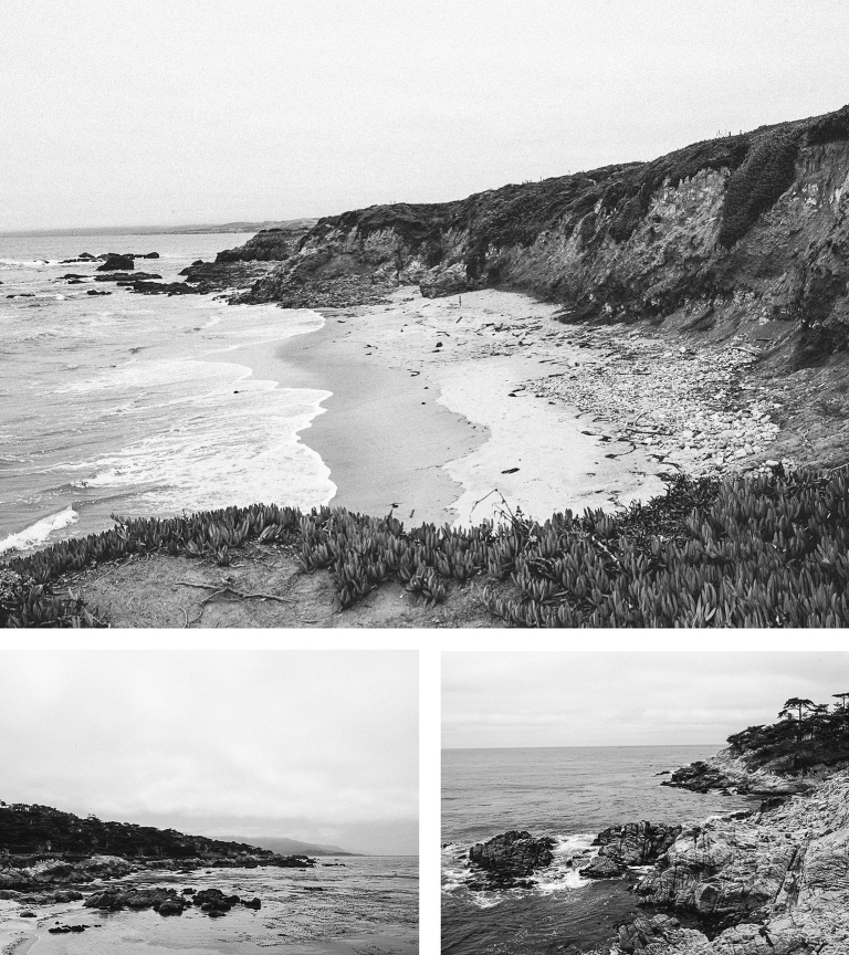 black_white_monterey