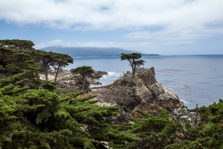 california_2016_katie_swift_liveroygbiv-4