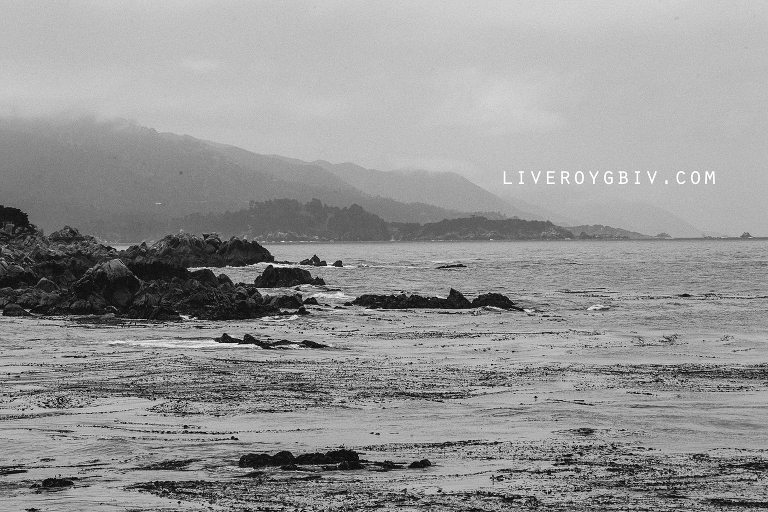 misty_monterey_katie_swift_liveroygbiv